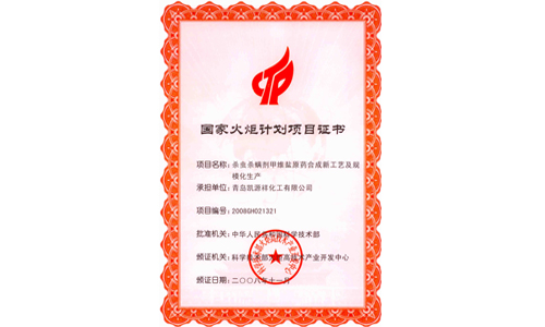 火炬計劃項目書1-1